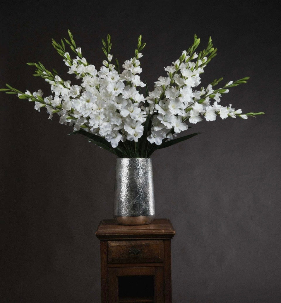 White Gladioli Flower
