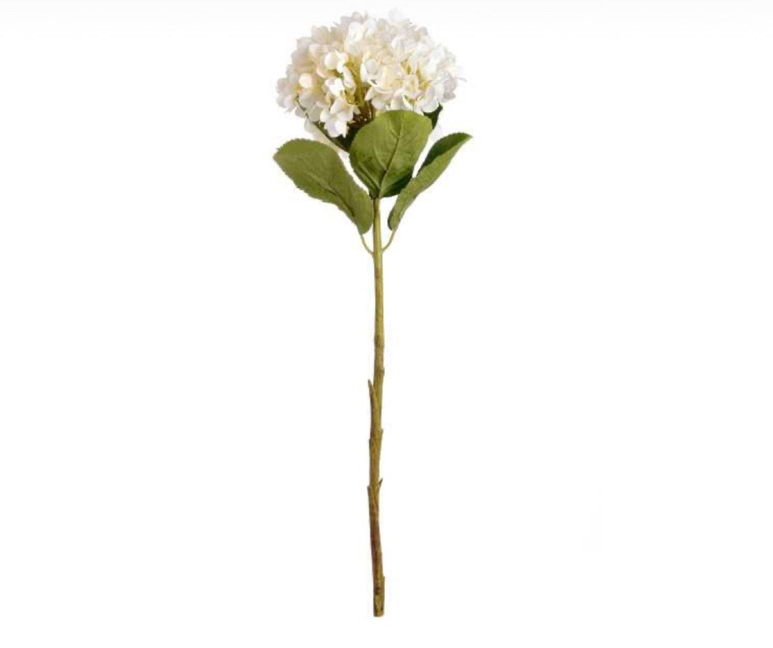Oversized White Hydrangea
