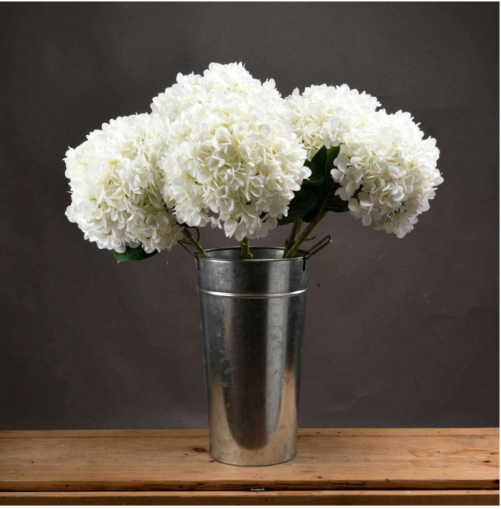 Oversized White Hydrangea